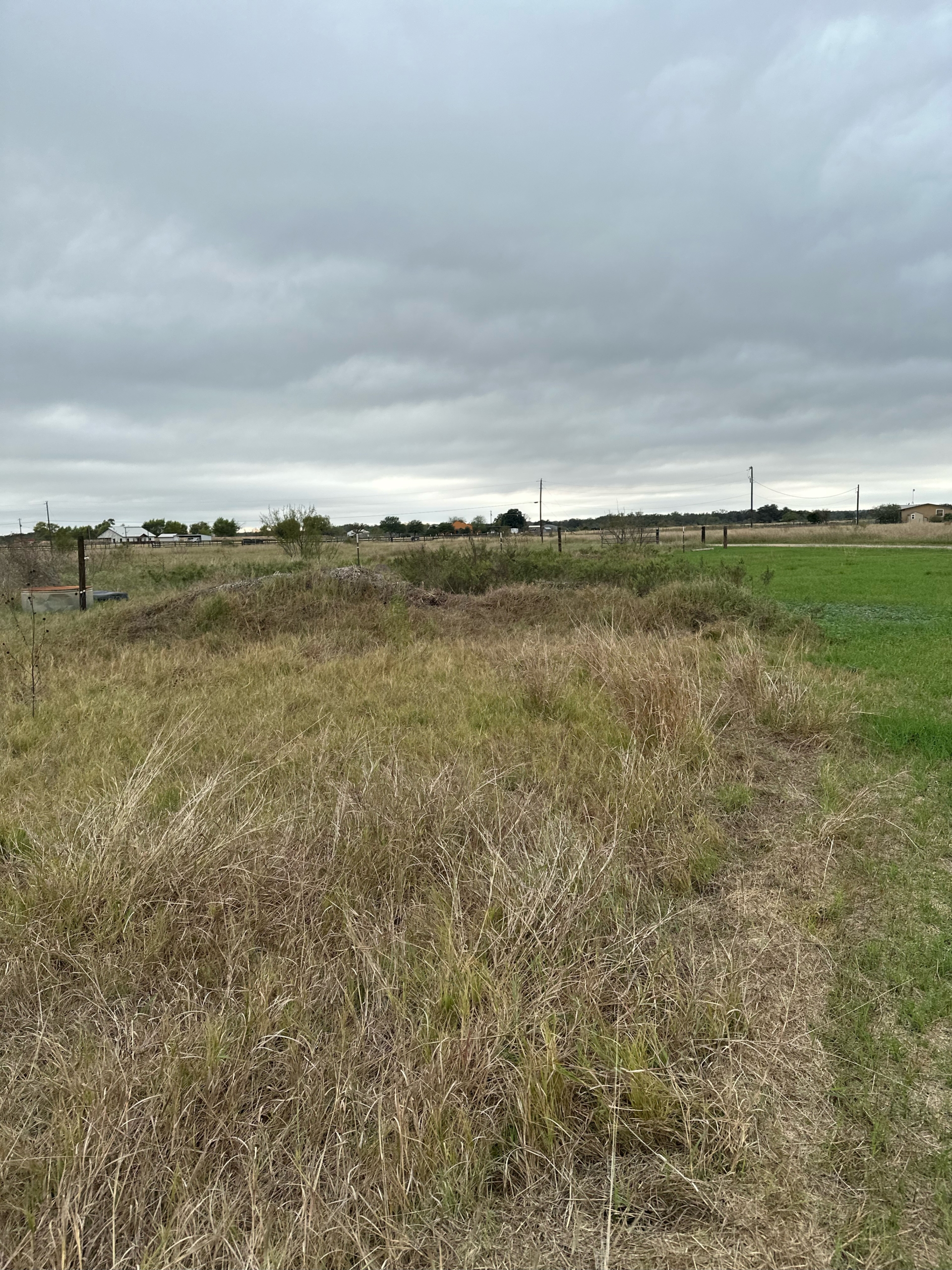 20251123_211739927_iOS